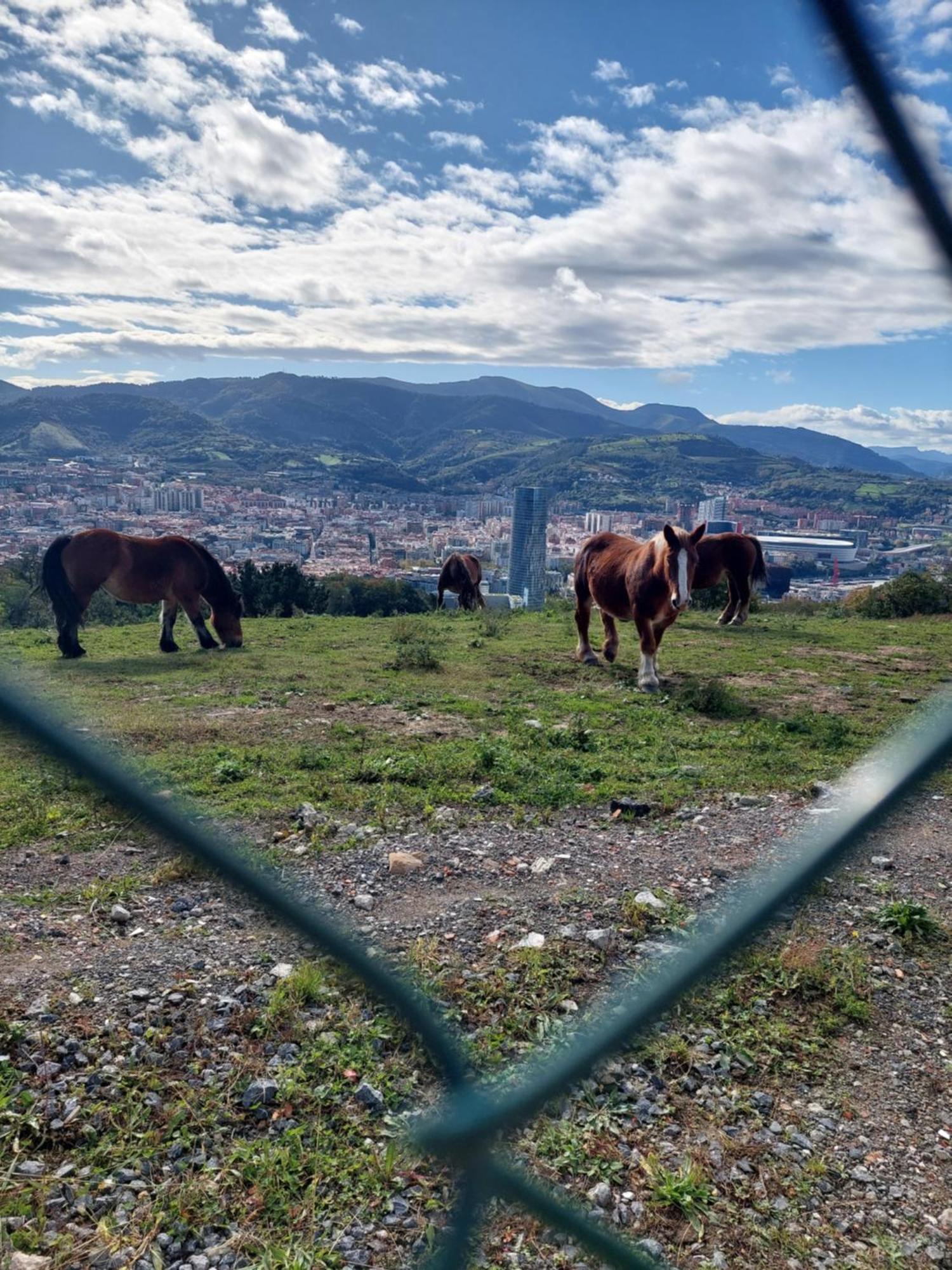 Appartamento Bilbao Center Apt 90'S Parking Esterno foto